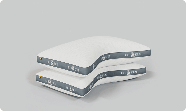 2-Pack Pillow
