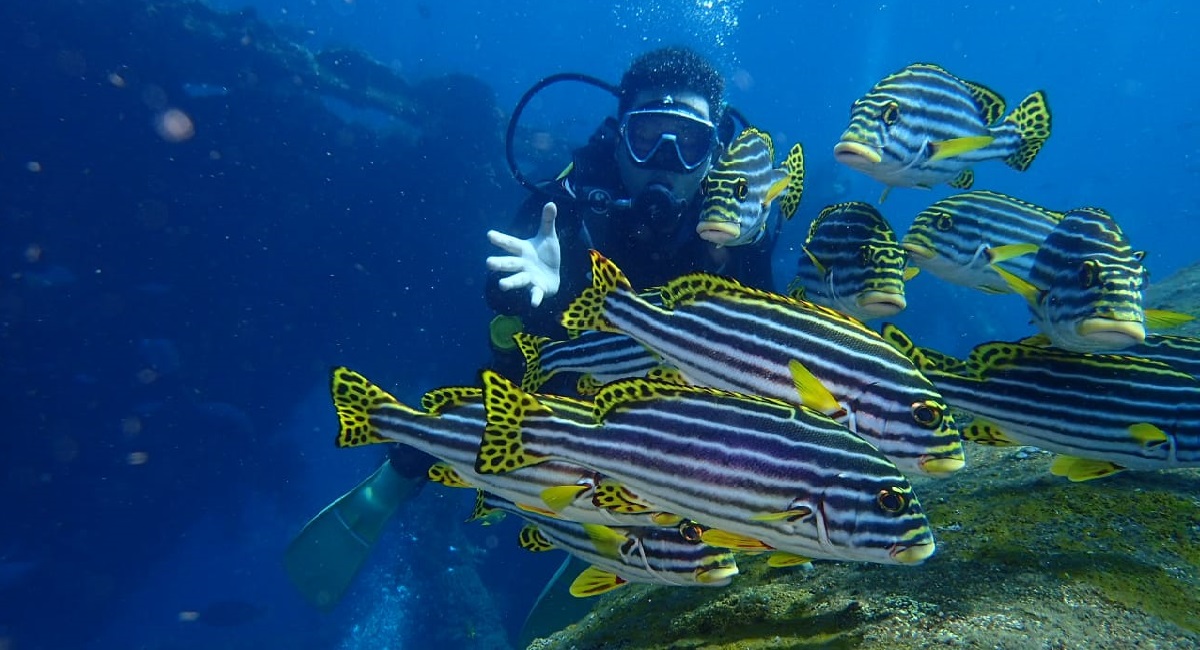 Camp & Dive Premium