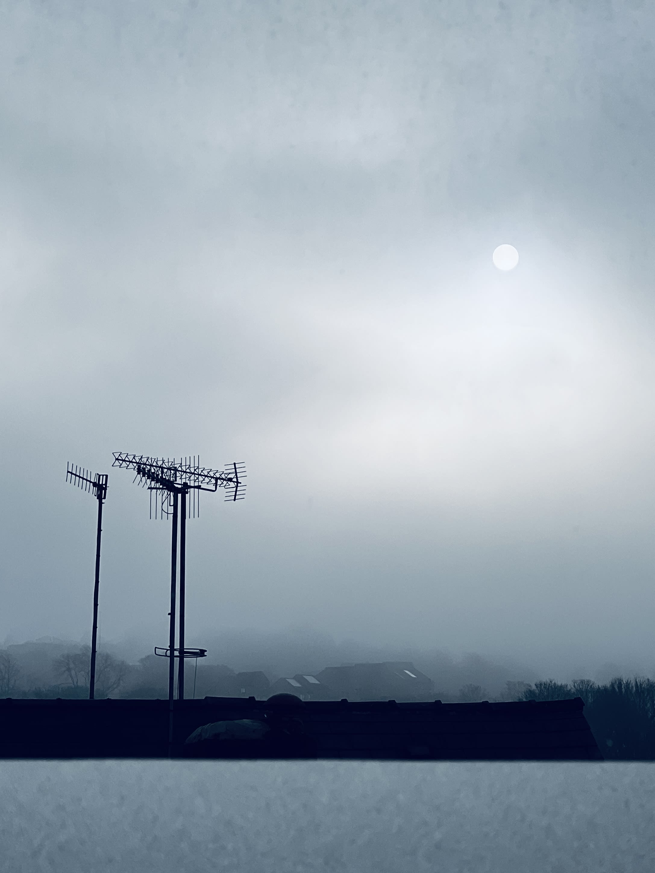 sheffield-window-flightcoda2024_acc0jo