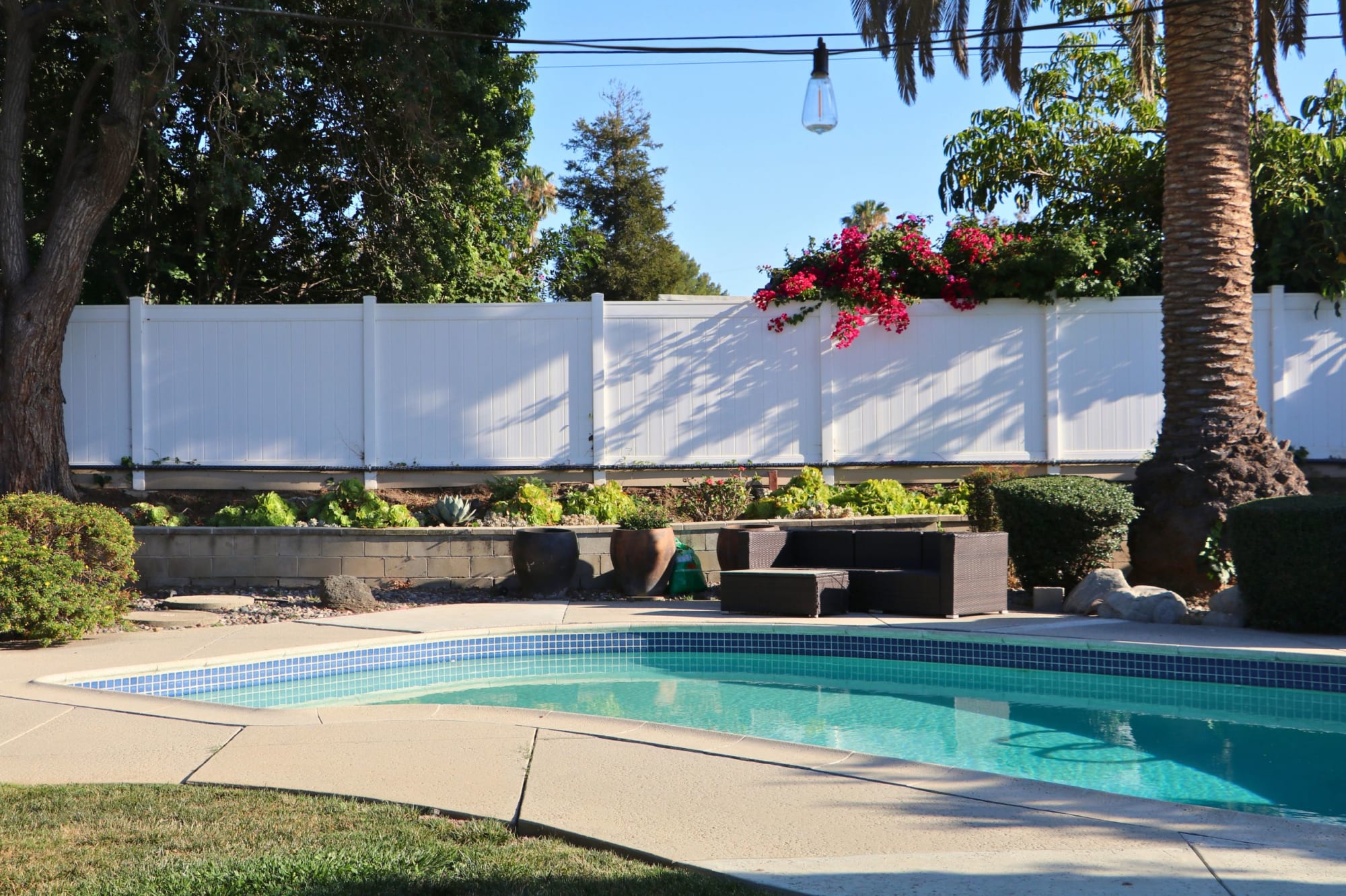 Wide shot of the backyard, mature plantings and open lawn framed by the house.