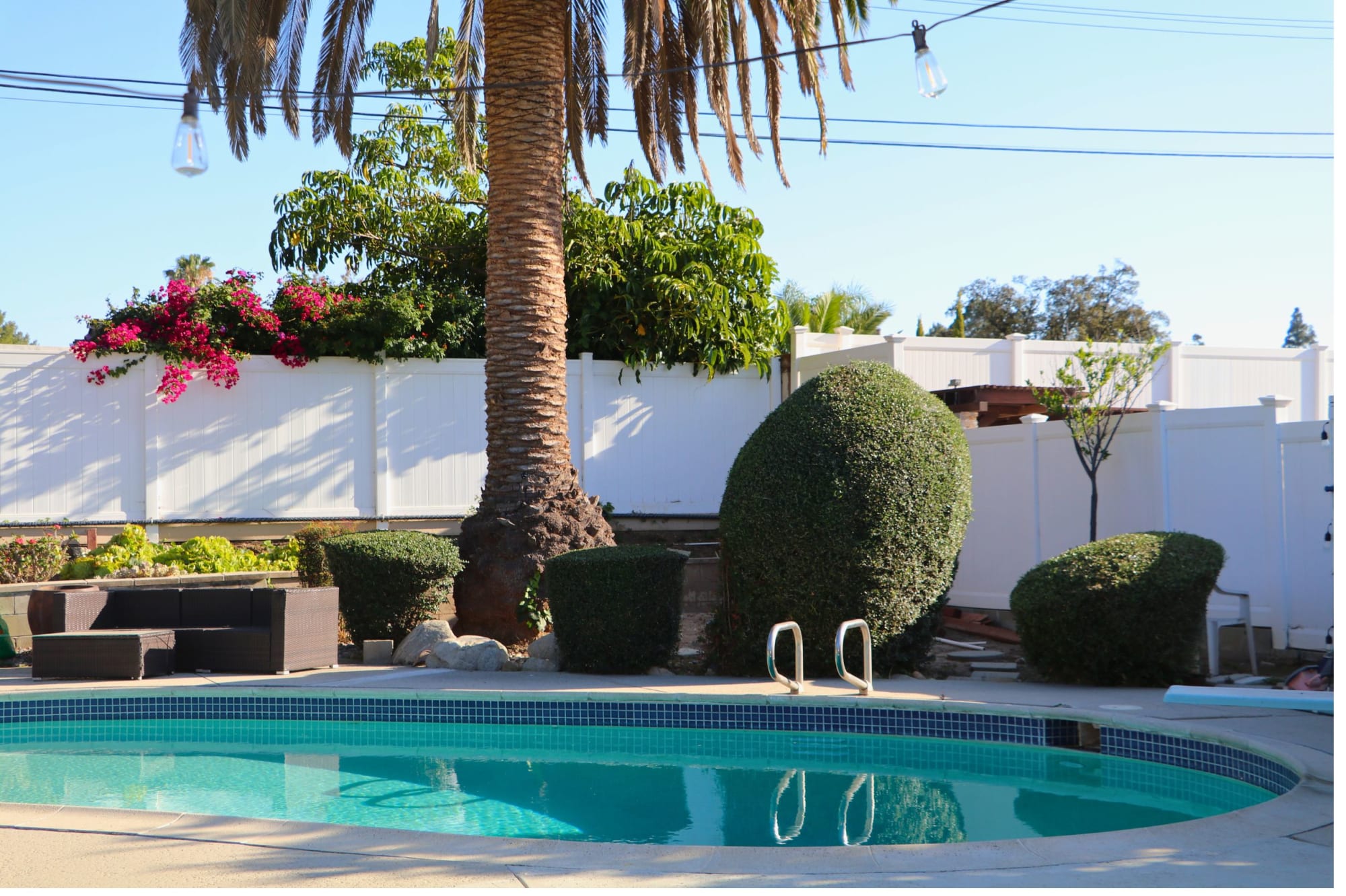 The garden in late afternoon light, made for long California evenings.