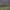 2024 Sandown 500