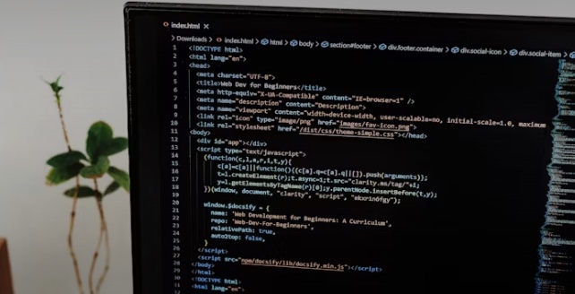 Junior Developer: Is the future really that bad?