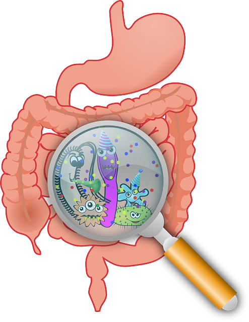 Kimchi and Gut Health: The Science Behind the Trend