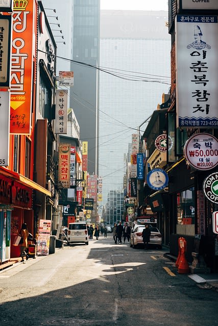 Case Studies of Overseas Success