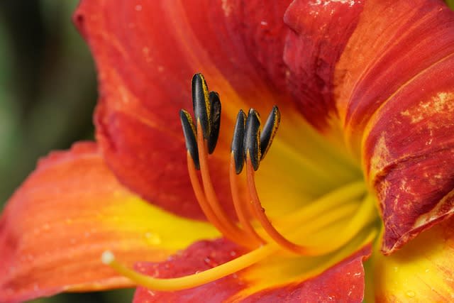 Warm Colors and Their Impact on Positivity: Exploring Reds, Oranges, and Yellows