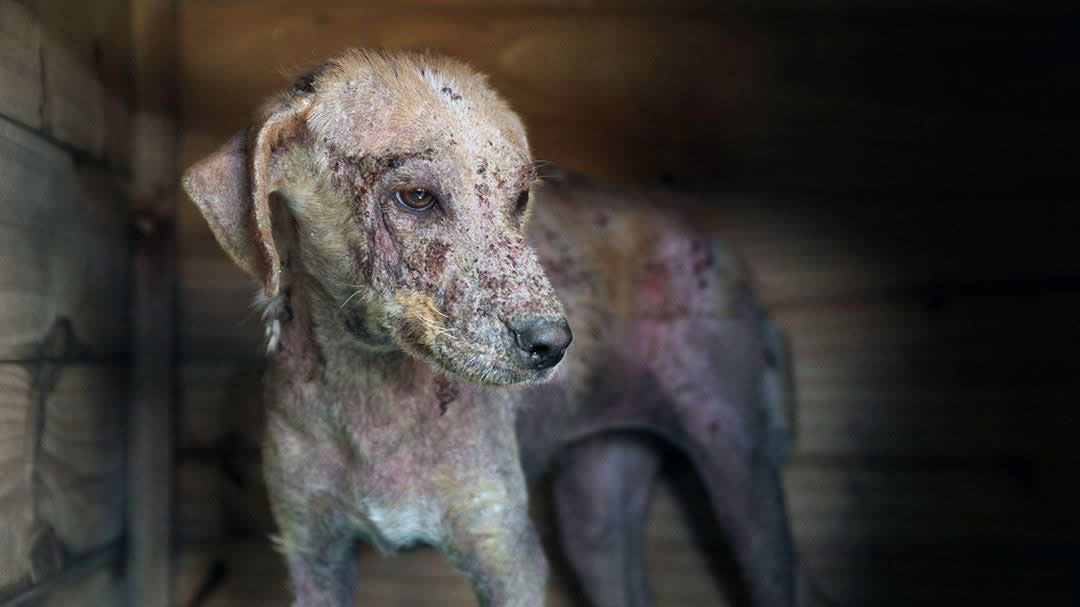 Imagen de la campaña 1