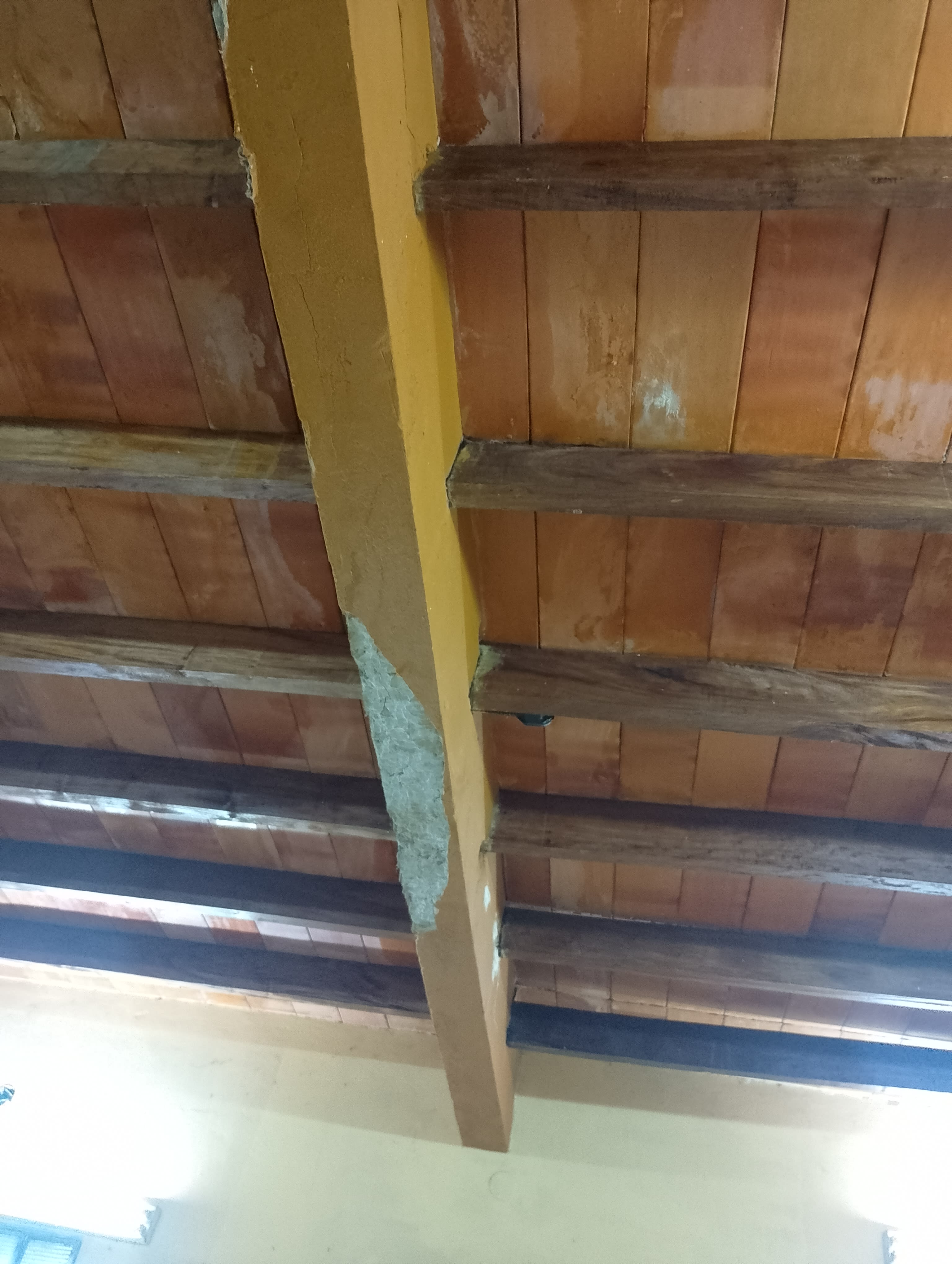 Imagen de la campaña 2