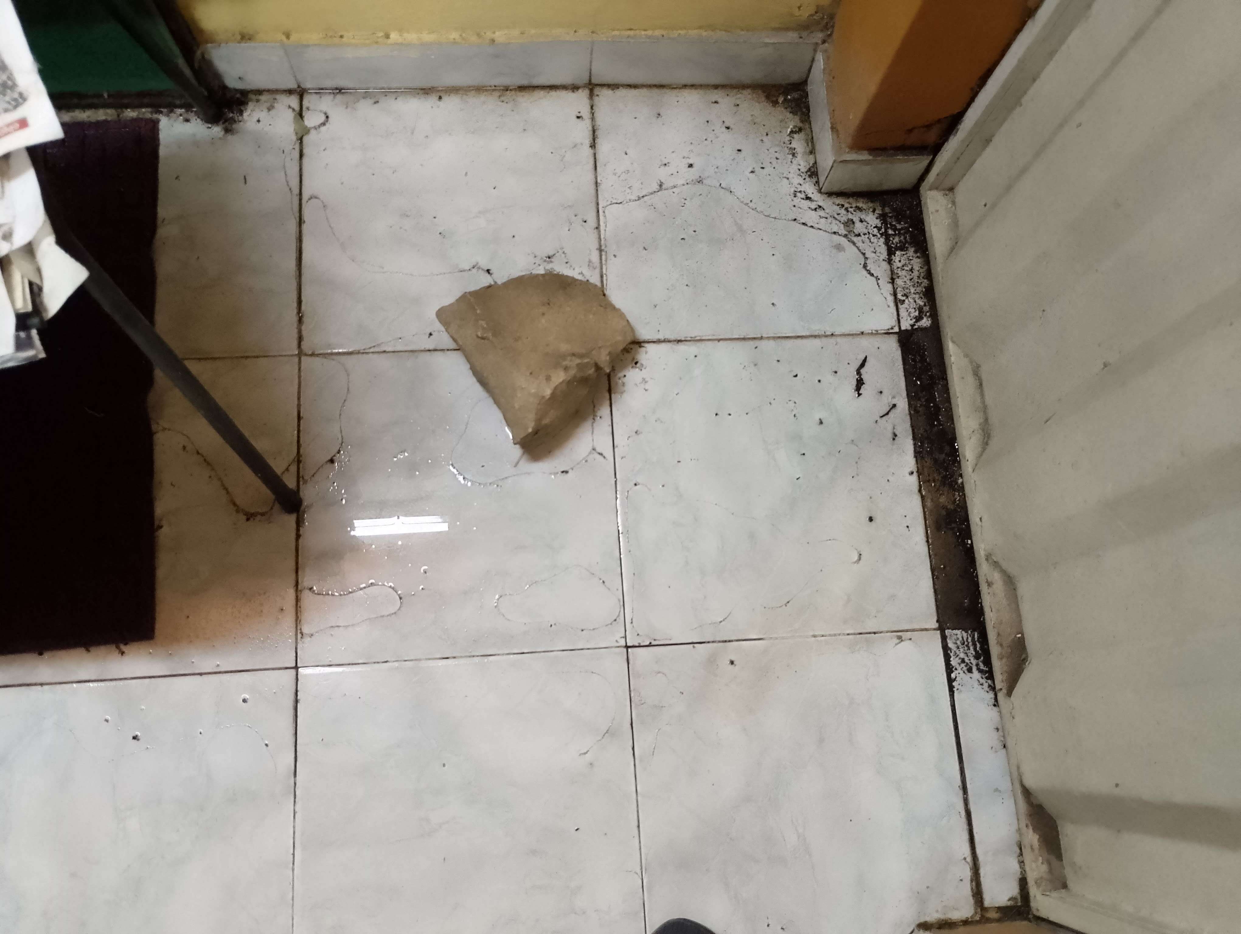 Imagen de la campaña 3