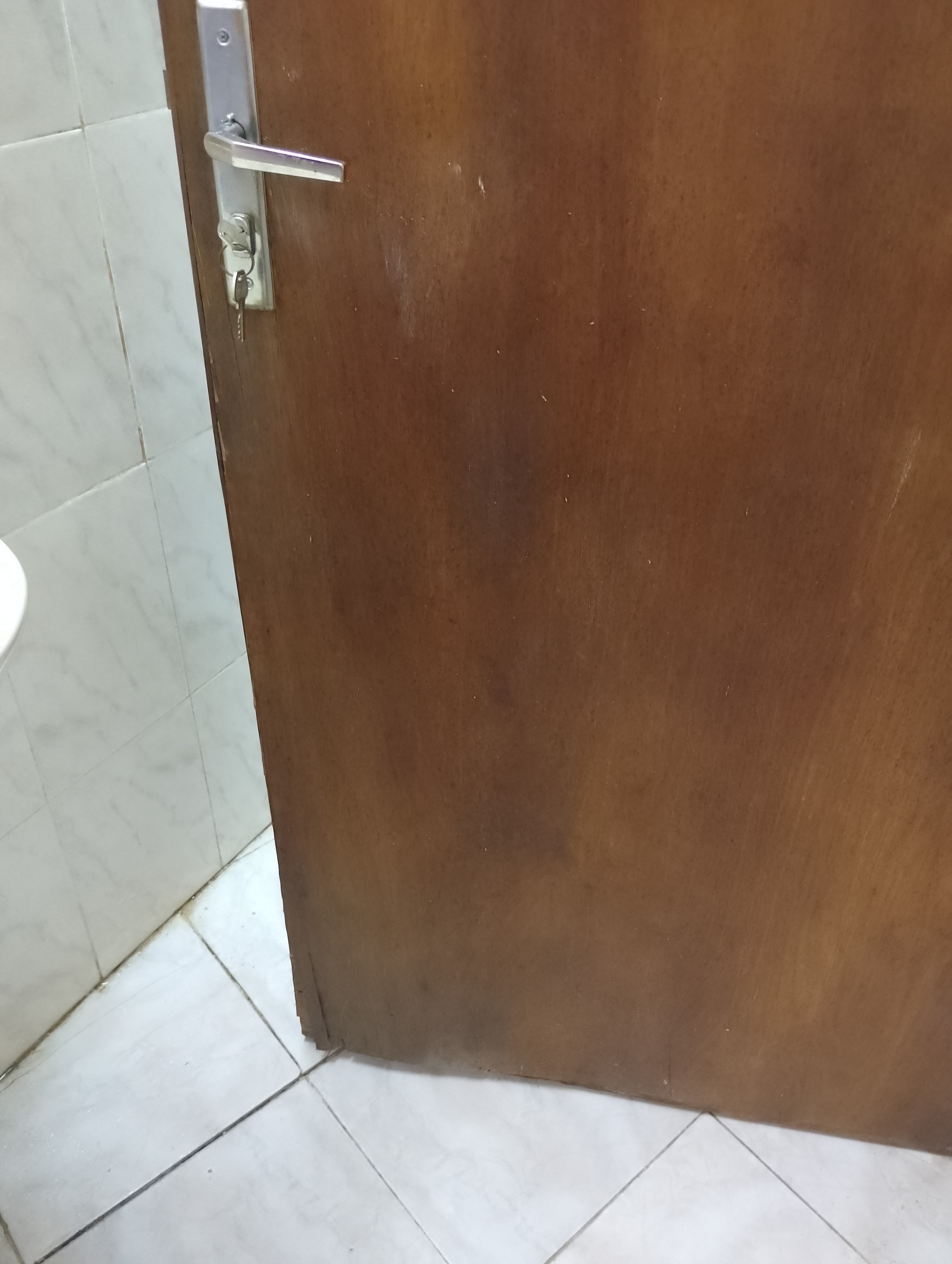 Imagen de la campaña 6