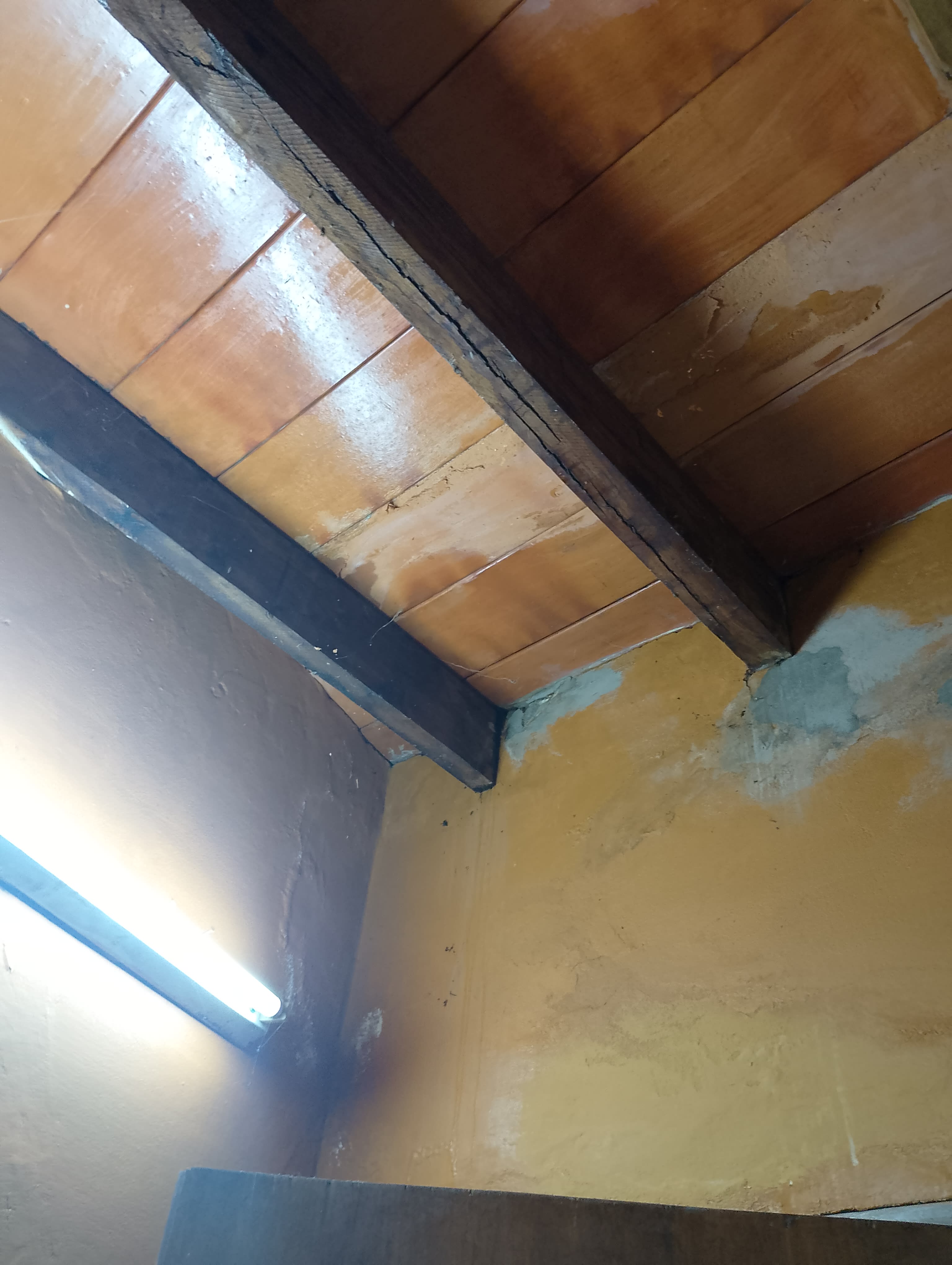 Imagen de la campaña 8