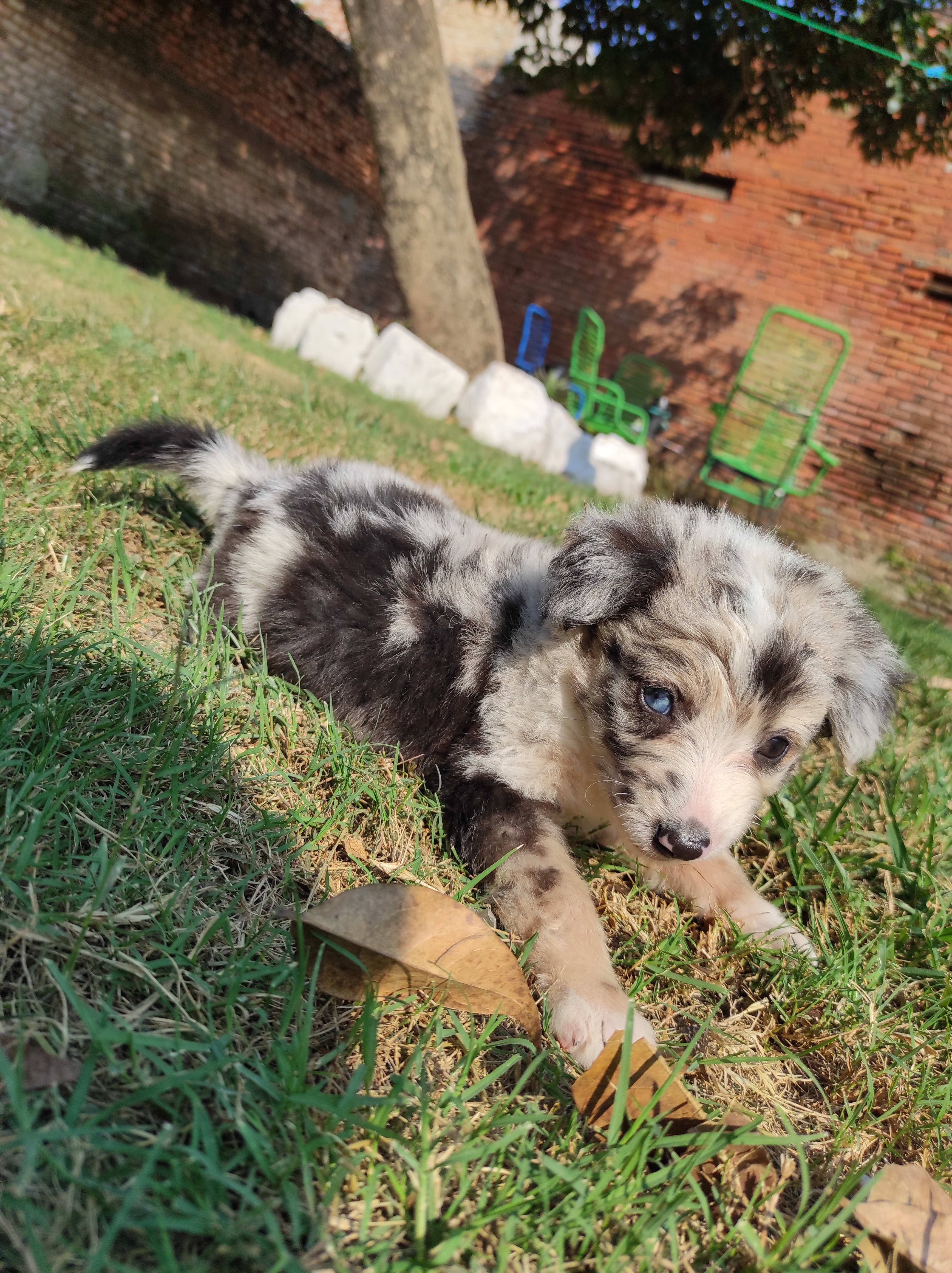 Imagen de la campaña 2