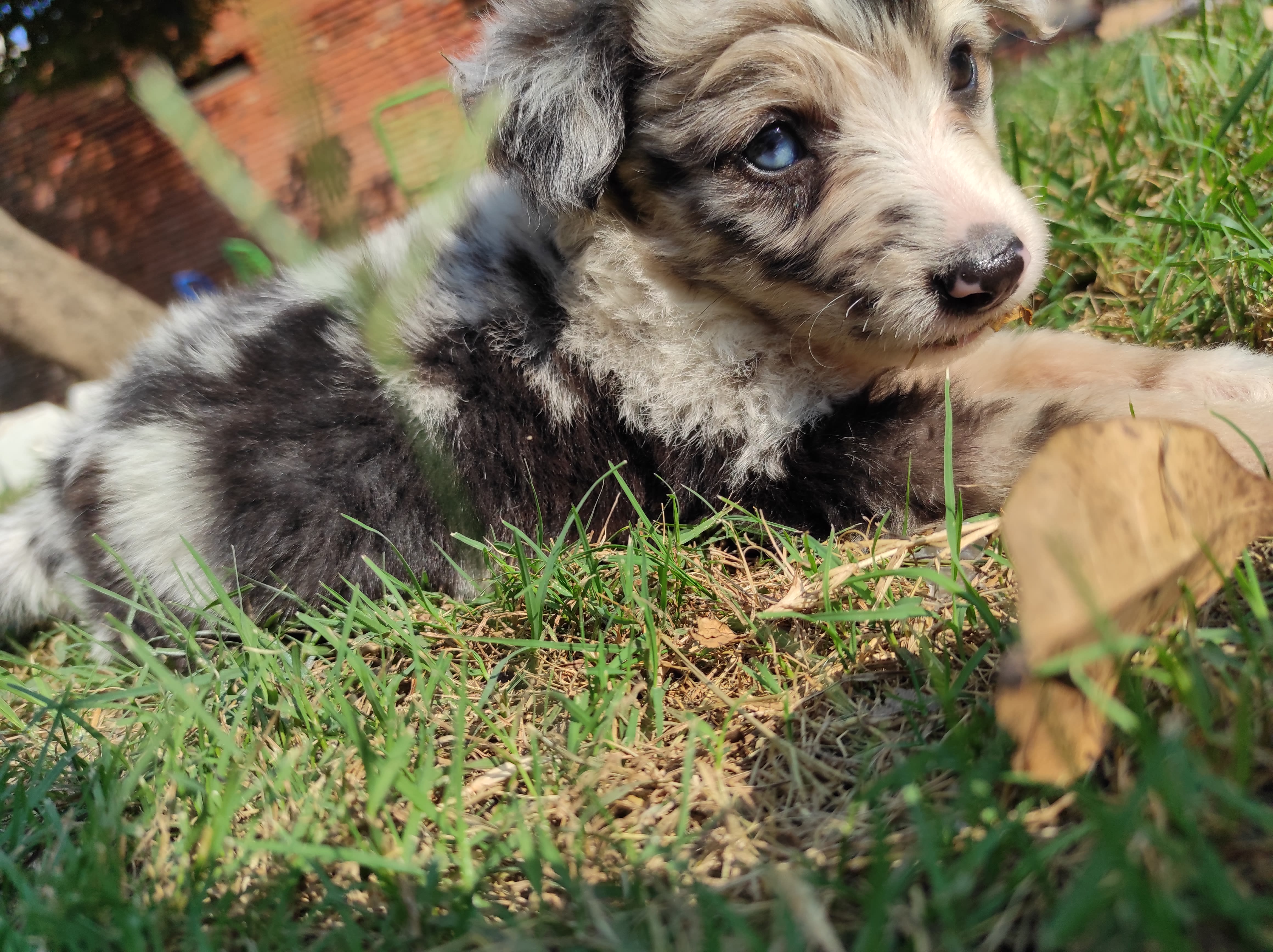 Imagen de la campaña 3