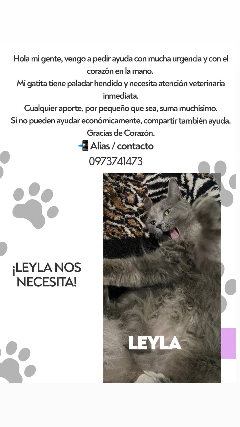 Imagen de la campaña 1