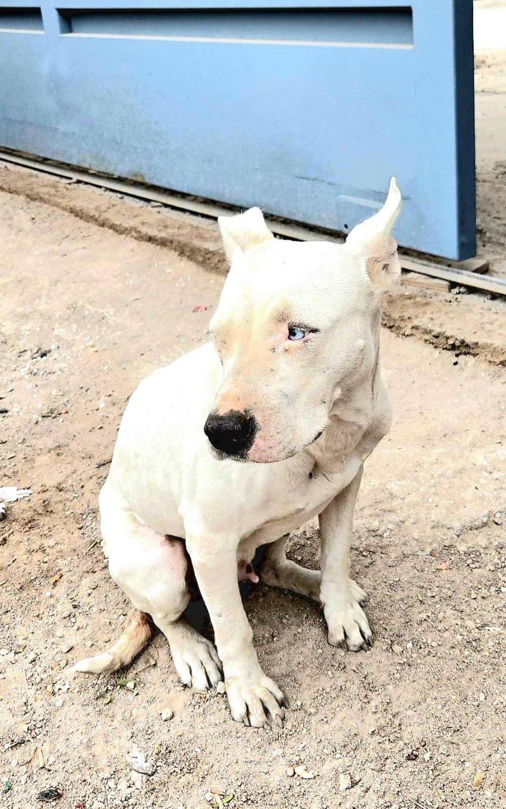 Imagen de la campaña 1