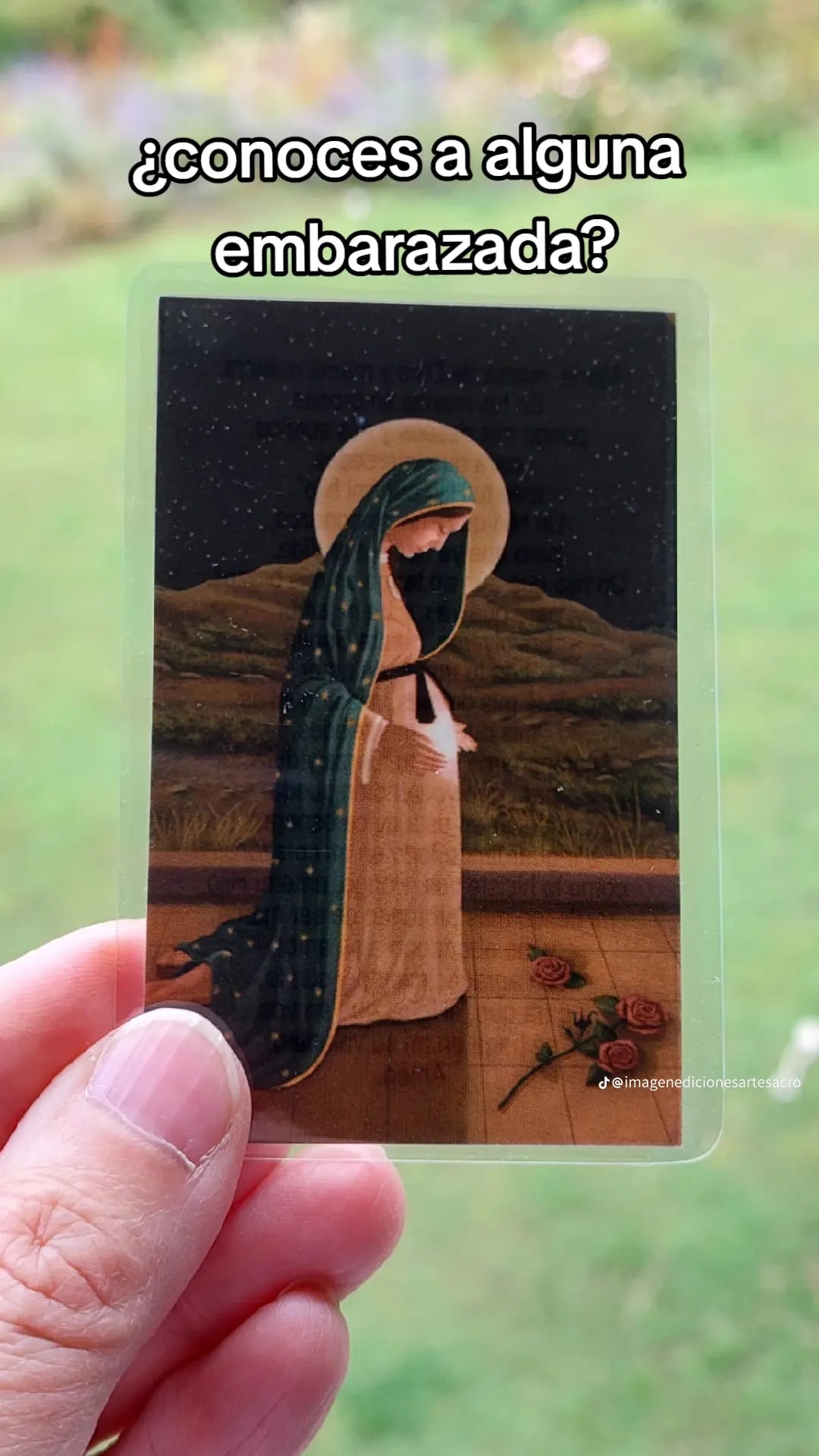 Imagen de la campaña 2