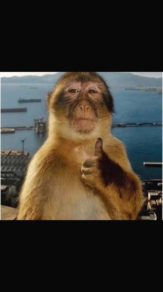 Imagen de la campaña 1