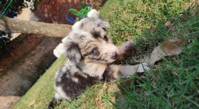 Campaña: Todos por Terry