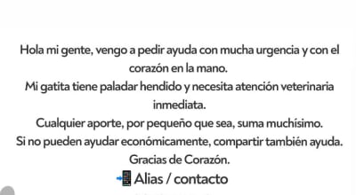 Campaña: Todos por Leyla