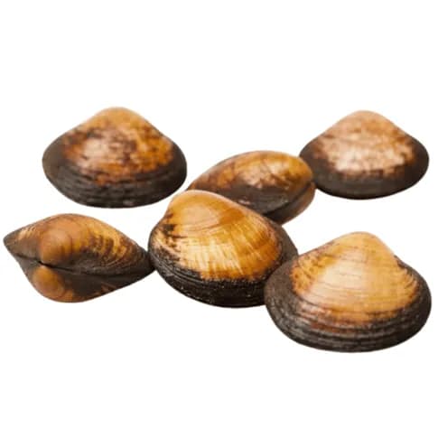 Almendra Mar