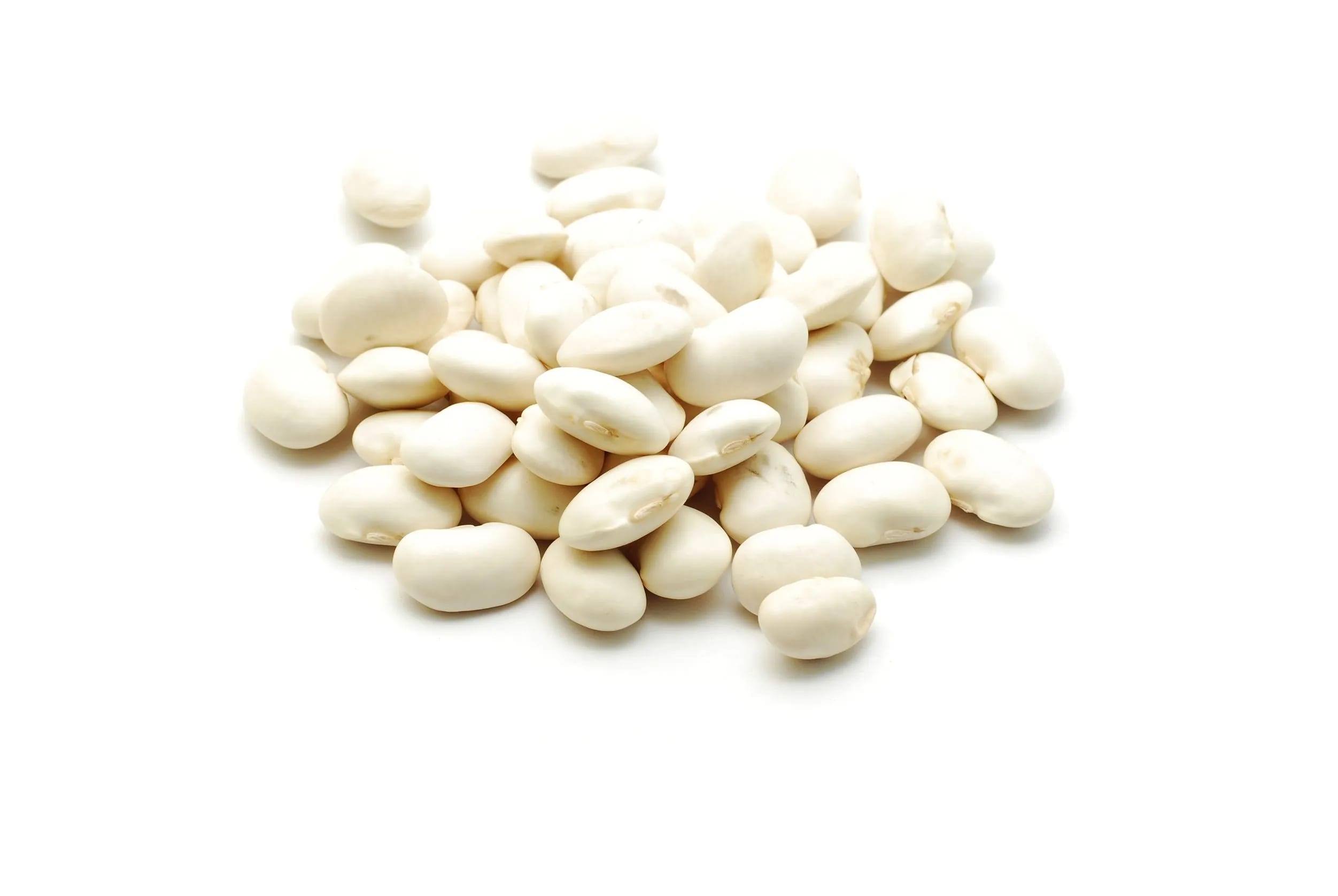 Alubia Blanca