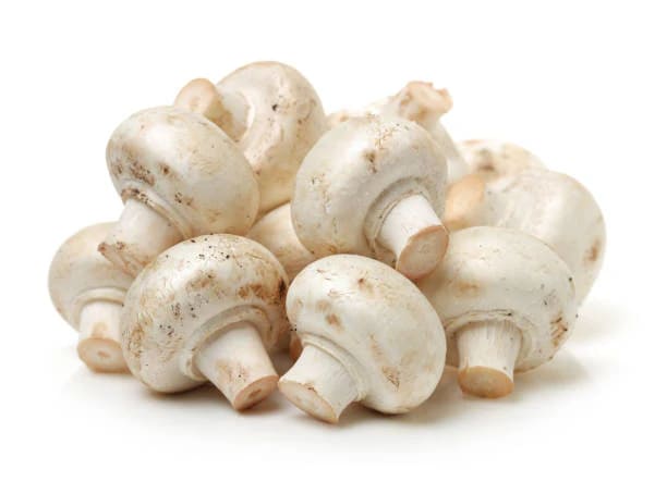 Champiñón