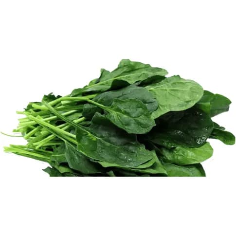 Espinacas