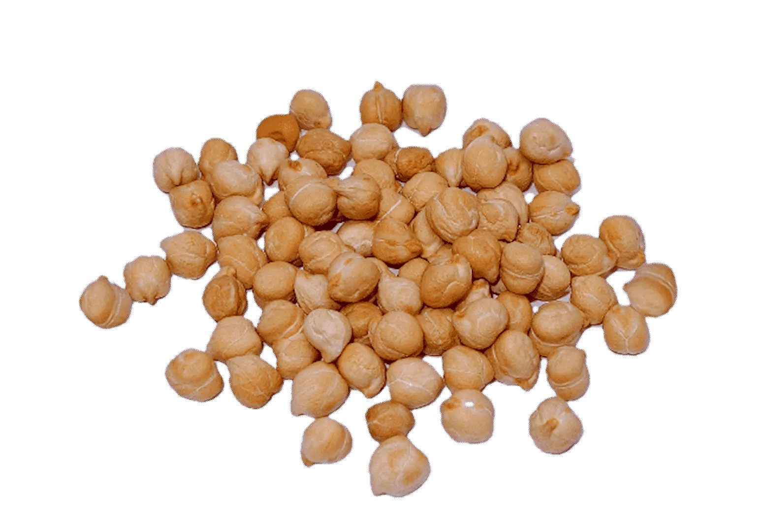 Garbanzo Pedrosillano