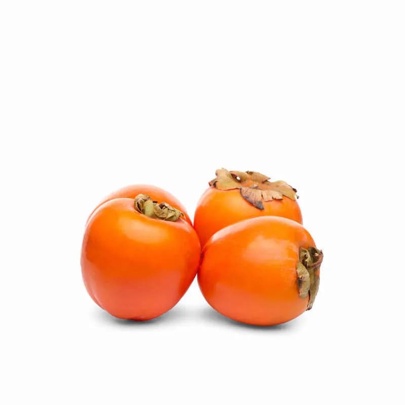 Kaki Extra