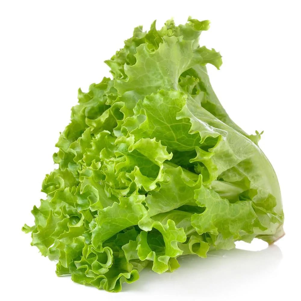 Lechuga Fresca