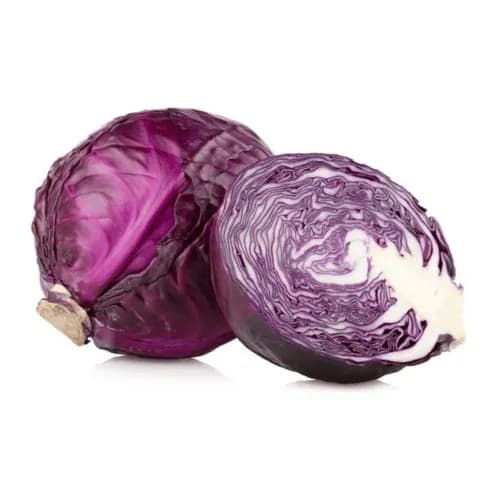 Lombarda