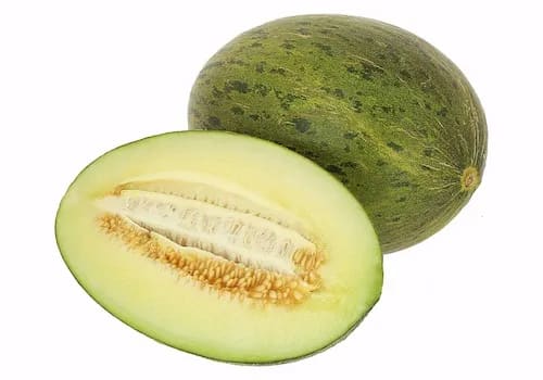 Melón Victoria Partido