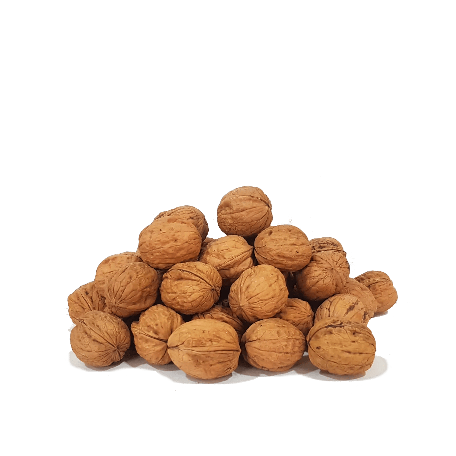Nueces C.30-32