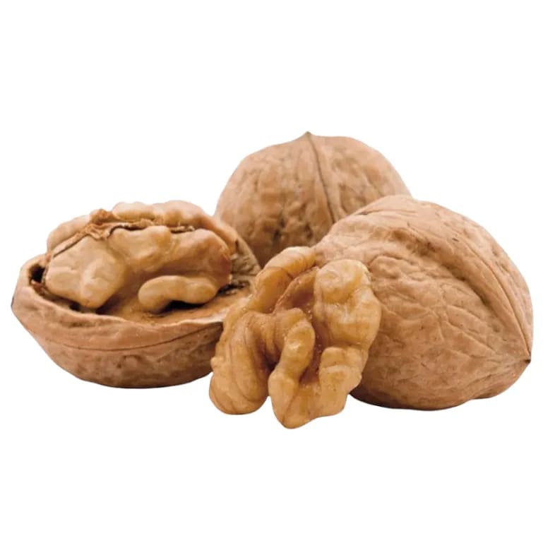 Nueces +34