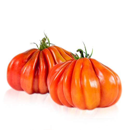 Tomate corazón de Buey