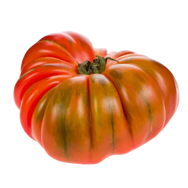 Tomate Raf