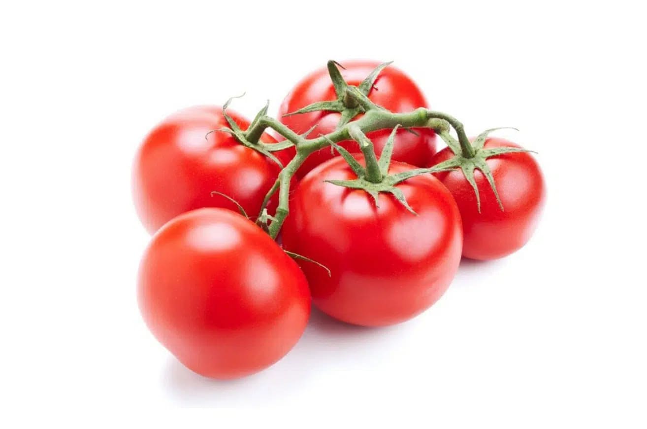 Tomate Rama