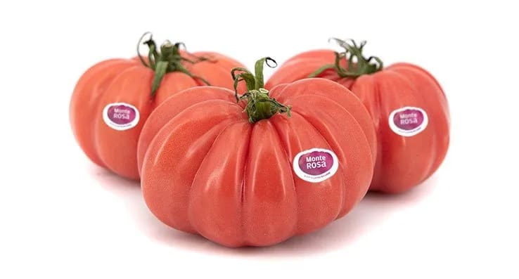 Tomate Rosa