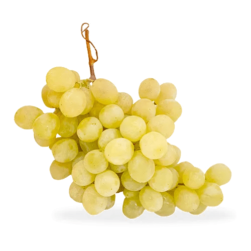 Uva Blanca Sin Semilla