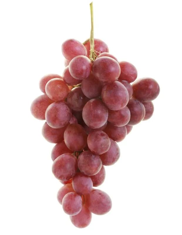 Uva Red Goble