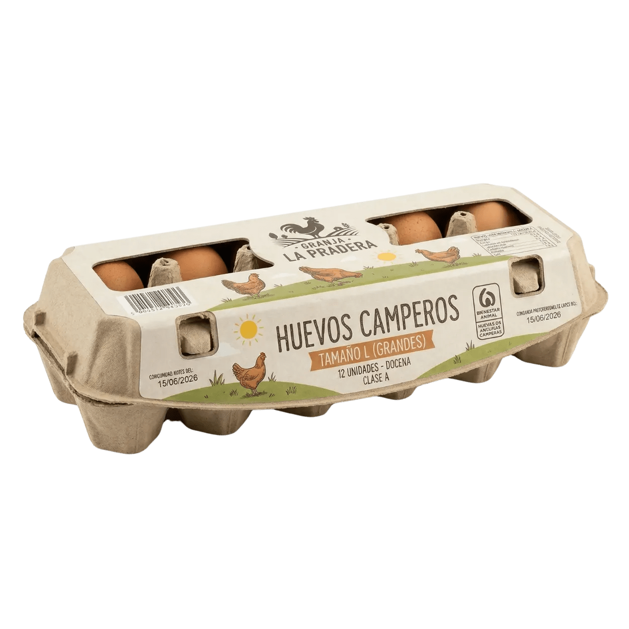Huevos Camperos