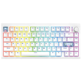 Teclado Mecanico Fantech MAXFIT8 Brown Switch Ingles Wireless Blanco RGB