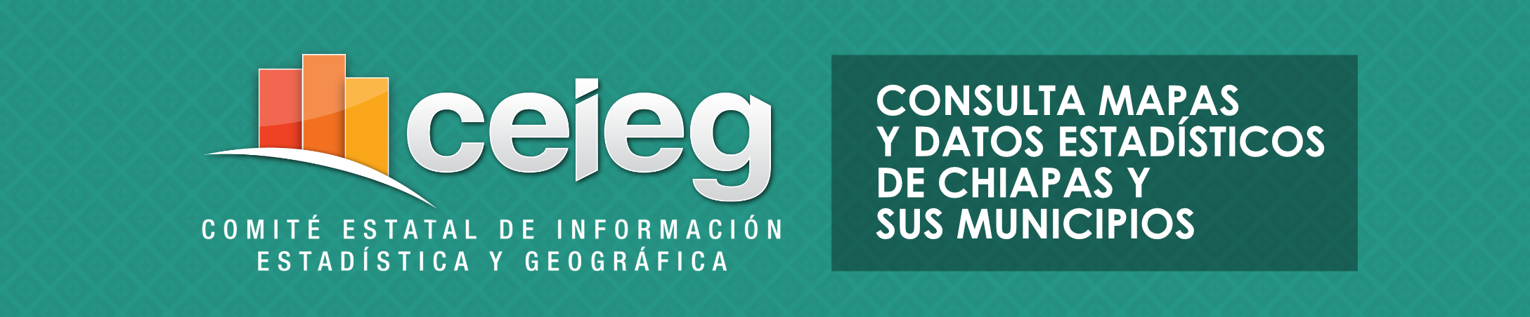 Comité Estatal de Información Estadística y Geográfica - 16