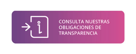 Consultar Obligaciones de Transparencia - 197