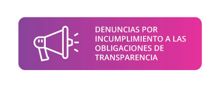 Denuncias de Transparaencia - 195