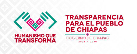 Transparencia para el Pueblo de Chiapas (TPCH) - 259