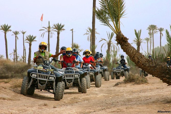 Half-Day Buggy Biking in the Palm Grove of Marrakech