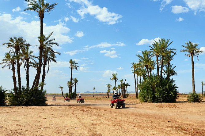 Half-Day Buggy Biking in the Palm Grove of Marrakech