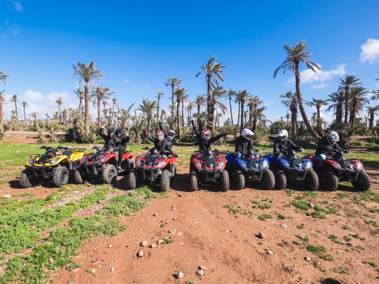 Half-Day Buggy Biking in the Palm Grove of Marrakech