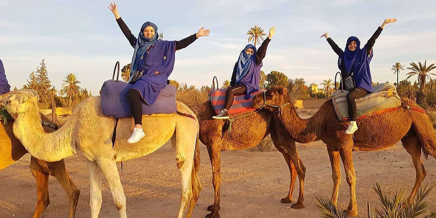 Camel Ride Full Day in Marrakech Palm Grove
